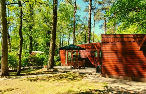 Municipality of Elburg Ski Chalet | Enjoy nature! Chalet in Doornspijk.