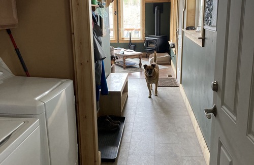 Leadville House | Enjoy Our New House In Historic Leadville, including your pets.