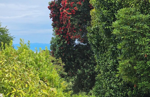 Nelson Apartment | Enjoy stylish living, tranquil, stroll to river or town