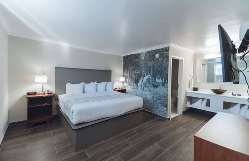 Ocala Hotel | Enjoy the Perks! Free Breakfast & Parking, Pets Allowed, Outdoor Seasonal Pool!