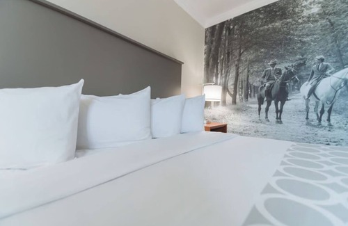 Ocala Hotel | Enjoy the Perks! Free Breakfast & Parking, Pets Allowed, Outdoor Seasonal Pool!
