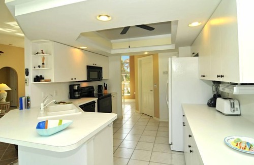 Long Meadow House | Enjoy The Sunshine! Home with Private Pool in Rotonda West