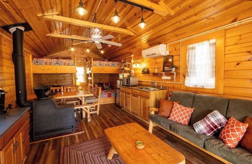Berkeley Springs Apartment | Enjoy this cabin/tiny home on 24 acres of Oak and Hickory forest close to Berkeley Springs, WV