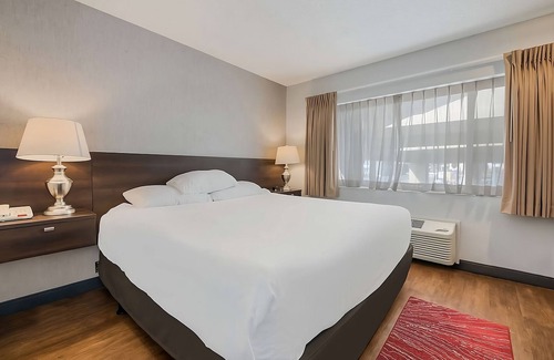Ontario Hotel | Enjoy Vacation! Indoor Pool, Pets Allowed, Free Parking, Free Breakfast