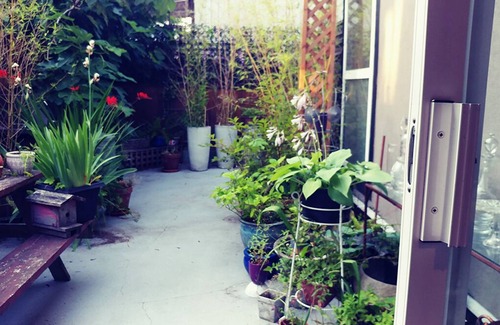 Kitsilano House | Enjoy your stay in the heart of Kits.