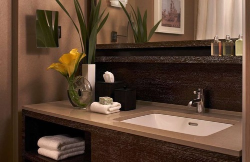 Downtown Chicago Hotel | Ensuring a Very Pleasant & Memorable Stay! Close to 360 Chicago, Pet-Friendly