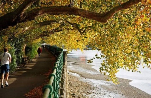 Parsons Green and Walham Apartment | Entire 2Bedroom Flat with Garden