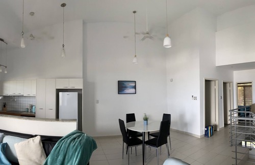 Stuart Park Apartment | Entire Apartment with city and harbour views