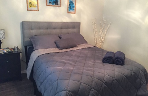 South Lamar Apartment | Entire Apt in South Austin 78704