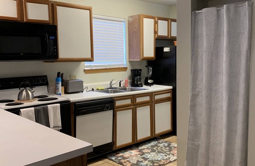 Indian Point Condo | Entire condominium: Branson - Lake access - Close to Silver Dollar City