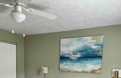 Sulphur Springs Apartment | Entire Cozy Apartment in Tampa