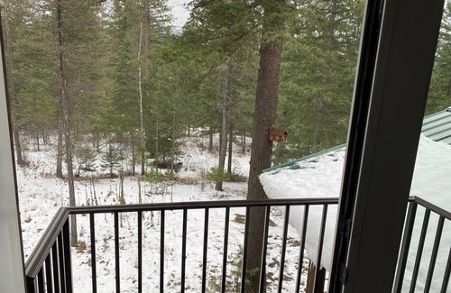 Bonner County House | Entire guesthouse, quiet wooded area of Cocolalla