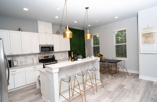 OST - South Union House | Entire Luxury Townhome |NRG| Med Center| Downtown