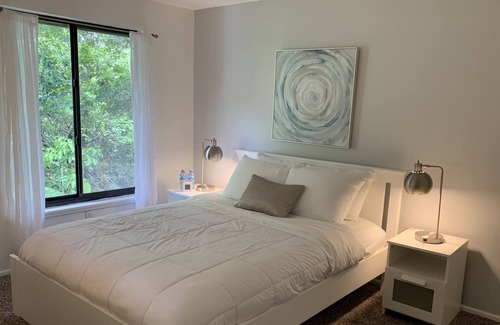 University House | Entire Modern & Private Townhouse 1.5 mi to Busch Gardens, Moffitt & USF