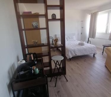 Kehl Apartment | Entre 2 Rives Strasbourg-Kehl