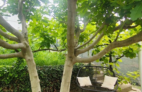 Romagnat House | Entre Ville et Vignes - Maison Cosy - 5 min Zenith D'auvergne - 20 min Volcans