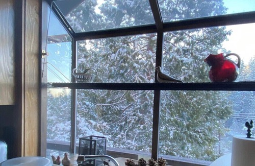 Mi-Wuk Village Ski Chalet | Epic stargazing at the Treehouse Chalet