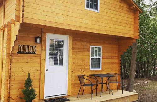 Fenelon Falls Cabin | "Equuleus" Lofted Kabin