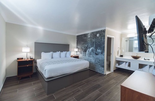 Ocala Hotel | Equus Inn - Ocala's Only Boutique Hotel!