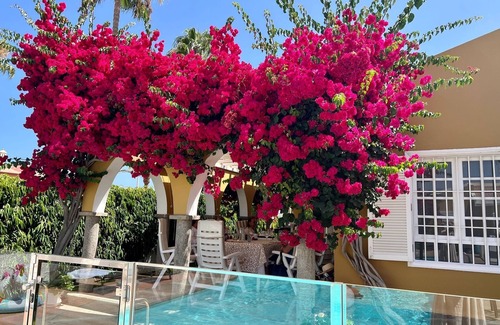 Maspalomas Villa | Very bright bungalow where you can spend a good vacation is free wifi 24