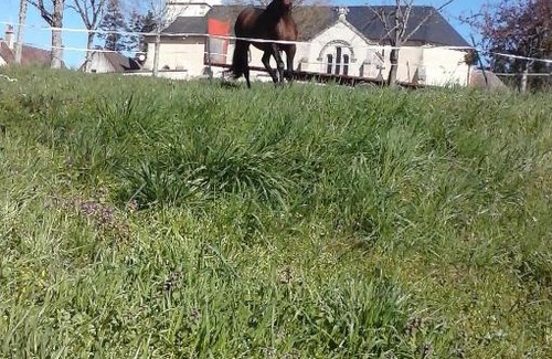 Sommant Bed & Breakfast | Escale du Morvan