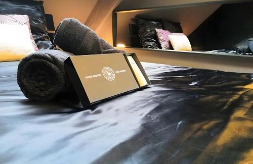 Niederbronn-les-Bains Apartment | Escale Glamour et Chic