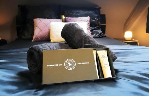 Niederbronn-les-Bains Apartment | Escale Glamour et Chic