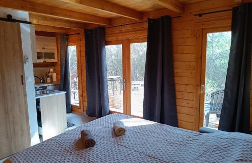 Aurons Apartment | Escapade sous les pins 20m2