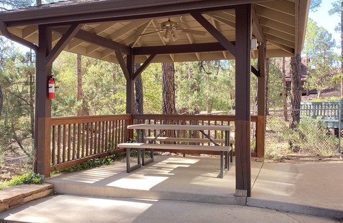 Pine Cabin | Escape the city to our beautiful cabin nestled in the pine trees.