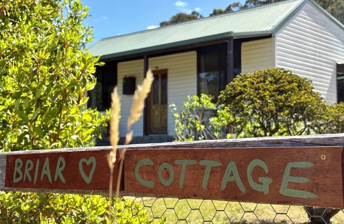 Weldborough Cottage | Escape to History & Nature! Peaceful & cosy 1890s cottage near MTB trails & pub.