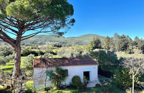 Cuers House | Escape to Provence: a charming cottage in the heart of olive groves