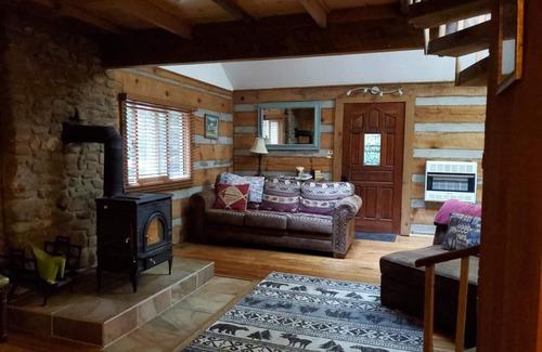 Mills River Cabin | Escape to Western North Carolina, secluded, but close to everything!