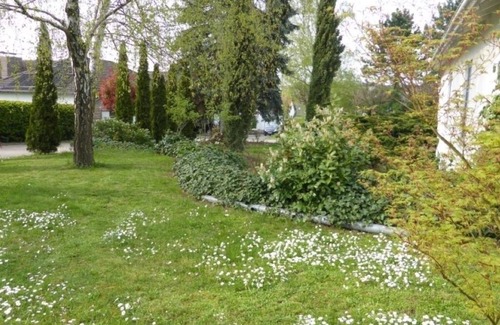 Bissersheim House | Eschment Guest House: Standard room with queen-size bed