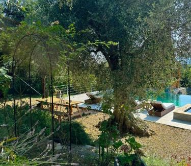 Saint-Roman Bed & Breakfast | Escondida