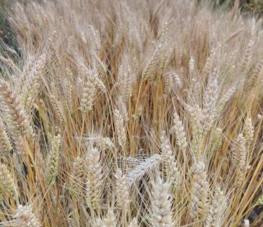 Cazac House | Espace et liberté