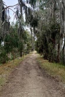 Paipa Apartment | ESPECTACULAR Apartamento NAUTICA PAIPA VISTA AL LAGO SOCHAGOTA