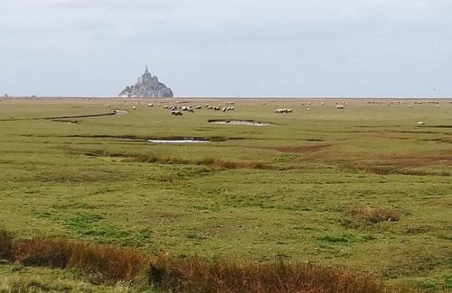 Brehal Apartment | Esprit Marine Appart'Hotel Le Frenchy 3 personnes