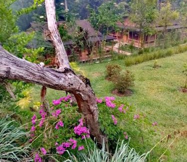 Coban Hotel | Estancia del Monje