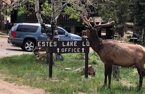 Estes Park Hotel | Estes Lake Lodge