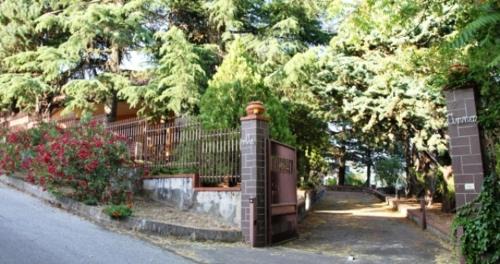 Nicolosi Bed & Breakfast | Etna Hut