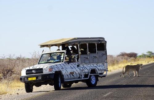 Okaukuejo Other | Etosha Safari Camping2Go