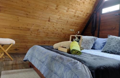 Guarne Ski Chalet | EUCALYPTO CHALET