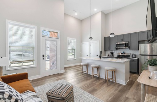 North Chesterfield Apartment | Evelyn 101 - Dramatic 16ft ceilings in this spacious 1 BR in serene Forest Hill