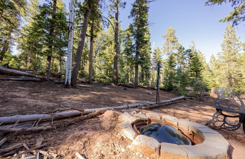 Meadow View Heights Cabin | Evergreen Escapes Cabin surrounded by Dixie National Forest