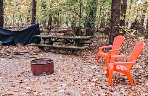 Carbon Hill Cabin | Evergreen Hideaway is a cabin nestled under tall pines.