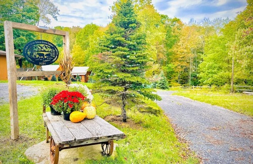 Thayerville Cabin | EverGreenGrove-Spruce 2BR/1BA Dog Friendly/Hot Tub