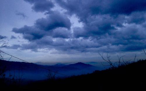 Varsi House | Everland