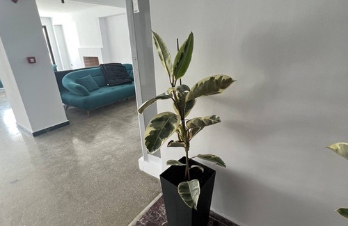 Xylokastron Hotel | Evita Blue