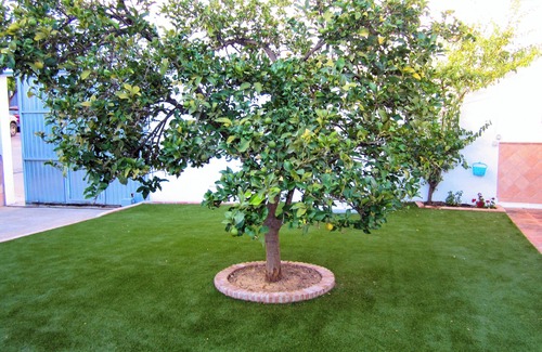 Villanueva de la Concepcion House | Excellent, well situated spacious property for 5, private pool, a/c, internet.