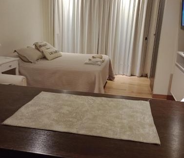La Plata Apartment | Excelente Monoambiente Monito 15